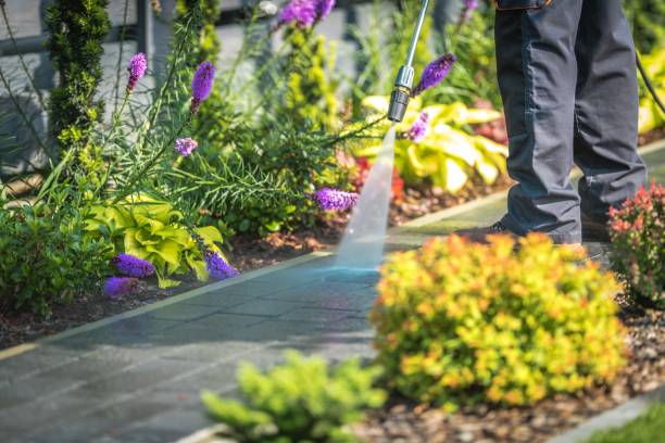 Best Restaurant Pressure Washing  in Richnd Heights, MO